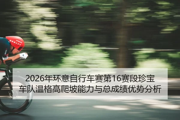 nian-huan-yi-zi-xing-che-sai-di-sai-duan-zhen-bao-che-dui-wen-ge-gao-pa-po-neng-li-yu-zong-cheng-ji-you-shi-fen-xi-2-715.jpg
